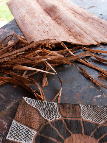 Bark Paintings